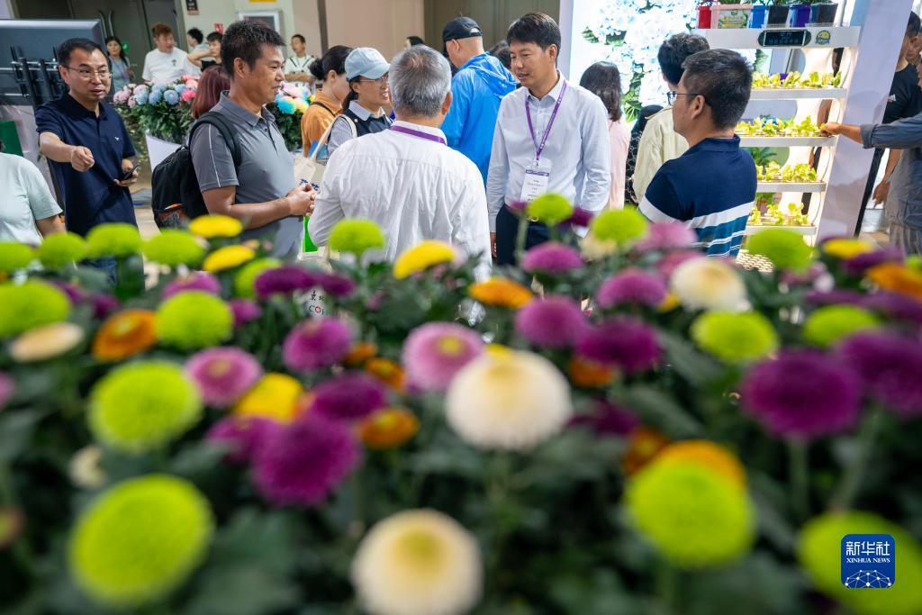 新浦京奥门娱乐国际